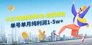 小红书虚拟资料号-变现项目:单号单月纯利润1-5w+实操玩法分享-创业资源网