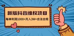 新版抖音维全项目:每单利润1000+月入3W+合法合规-创业资源网