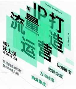 大蓝流量运营&个人ip打造课,短视频带货/爆款文案/流量运营/直播入门/镜头变现/流量商业-创业资源网