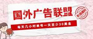 外面收费1980的最新国外LEAD广告联盟搬砖项目,单号一天至少30美金【详细玩法教程】-创业资源网