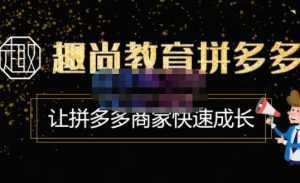 趣尚教育·拼多多运营实操VIP特训营,让拼多多商家快速成长-价值3180元-创业资源网