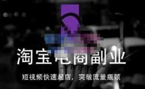 蓝Sir派·淘宝短视频快速起店，替代传统搜索方式，学会做一个不一样的淘宝店-创业资源网
