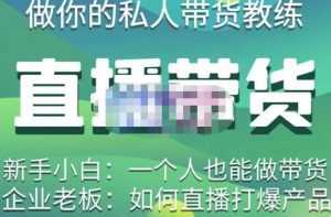 硬核传媒·直播带货(私人教练),实操实战教学,通俗易懂,学完后新手小白一个人也能做带货-创业资源网
