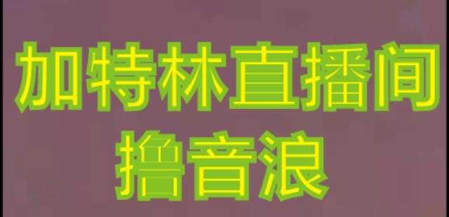 图片[1]-抖音加特林直播间搭建技术，抖音0粉开播，暴力撸音浪，2023新口子，每天800+【素材+详细教程】-创业资源网