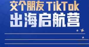 TikTok商家出海启航营:教你TikTok跨境电商的底层逻辑,即使是零基础的你也可以快速上手-创业资源网