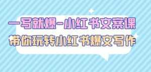 一写就爆-小红书文案课：带你玩转小红收爆文写作（45节课）-创业资源网
