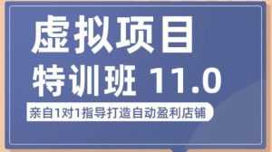 陆明明·虚拟项目特训班(10.0+11.0),0成本获取虚拟素材,0基础打造自动盈利店铺-创业资源网