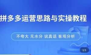 拼多多店铺运营思路与实操教程，快速学会拼多多开店和运营，少踩坑，多盈利-创业资源网