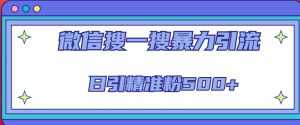 微信搜一搜引流全系列课程,日引精准粉500+(8节课)-创业资源网