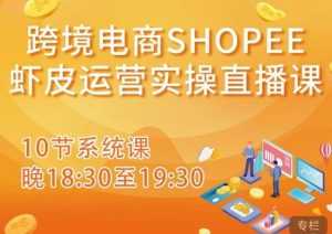 跨境电商Shopee虾皮运营实操直播课,从零开始学,入门到精通(10节系统课)-创业资源网