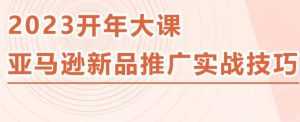 2023亚马逊新品推广实战技巧，线下百万美金课程的精简版，简单粗暴可复制，实操性强的推广手段-创业资源网