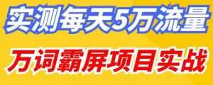 百度万词霸屏实操项目引流课,30天霸屏10万关键词-创业资源网