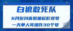 白狼敢死队最新抖音短视频批量起影视号(一天单人可操作30个号)视频课程-创业资源网