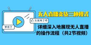 无人直播卖货三种模式:详细深入地展现无人直播的操作流程(共2节视频)-创业资源网