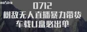 树敌习研社抖音无人直播暴力带货车载U盘必出单,单号单日产出300纯利润-创业资源网