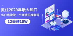 抓住2020年最大风口,小白也能做一个赚钱视频号,12天赚10W(赠送爆款拆解)-创业资源网