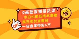 0基础直播带货课:小白也能低成本搭建疯狂卖货直播间:1场直播带货6万-创业资源网