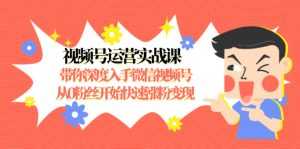 视频号运营实战课,带你深度入手微信视频号1.0,从0粉丝开始快速涨粉变现-创业资源网