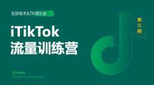 2020最新TikTok流量增长训练营(完结)附PPT-创业资源网