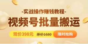 视频号批量运营实战教程,让你一天创作100个高质量视频,日引5W+流量-创业资源网