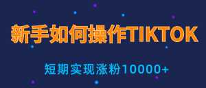 新手小白操作TIKTOK,3天从0到10000粉丝撸美金实战分享-创业资源网