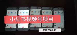 野路子小红书视频号1.0项目,直接上手操作就能赚钱的视频号项目-创业资源网