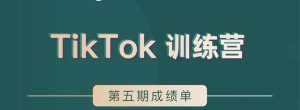 TikTok第五期训练营结营,带你玩赚TikTok,40天变现22万美-创业资源网