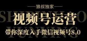 狼叔独家:视频号8.0运营实战课价值1280元-创业资源网