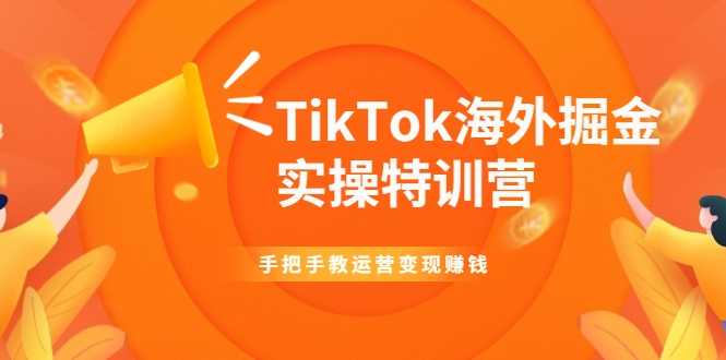 图片[1]-TikTok海外掘金实操特训营：手把手教运营变现赚钱-创业资源网