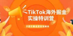 TikTok海外掘金实操特训营:手把手教运营变现赚钱-创业资源网