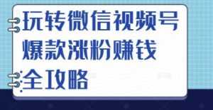 玩转微信视频号爆款涨粉赚钱全攻略,让你快速抓住流量风口,收获红利财富-创业资源网