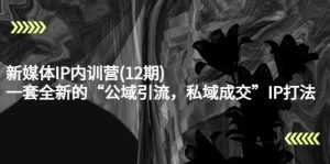 新媒体IP内训营(12期),一套全新的“公域引流,私域成交”IP打法,直接带走-创业资源网