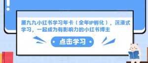 厦九九小红书学习年卡(全年IP孵化),沉浸式学习,一起成为有影响力的小红书博主-创业资源网