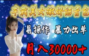 车载美女撒娇语音包,执行就出单,月入3000+,小白看完课程就能马上实操-创业资源网