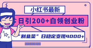 小红书的全新日引200 自主创业粉”当韭菜割“日平稳转现4000 实际操作实例教程!-暖阳网-优质付费教程和创业项目大全-创业资源网