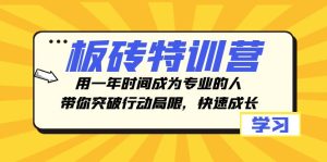 砖头夏令营,用一年时间变成专业人,陪你突破行动局限性,快速增长-暖阳网-优质付费教程和创业项目大全-创业资源网