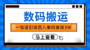 只靠一句话引流方法千人转现3万?-暖阳网-优质付费教程和创业项目大全-创业资源网