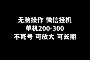 没脑子实际操作微信挂机单机版200-300一天,不死号,可变大-暖阳网-优质付费教程和创业项目大全-创业资源网