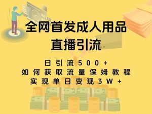 最新全网独创首发,成人用品直播引流获客暴力玩法,单日变现3w保姆级教程-暖阳网-优质付费教程和创业项目大全-创业资源网