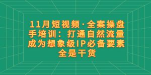11月短视频·全案操盘手培训:打通自然流量 成为想象级IP必备要素 全是干货-暖阳网-优质付费教程和创业项目大全-创业资源网