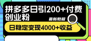 拼多多平台日引200 付钱自主创业粉,日平稳转现4000 盈利全新实例教程-创业资源网