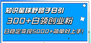 知乎app歪门邪道日引300 上班族自主创业粉,日平稳转现5000 简易好上手!-创业资源网