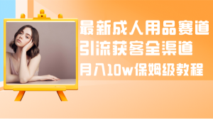 全新两性用品跑道引流方法拓客新零售,月入10w家庭保姆级实例教程-创业资源网