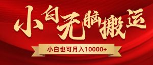 无脑搬运视频,全新平台独占玩法,一个账号每天1000+,多账号轻松扩张!-创业资源网