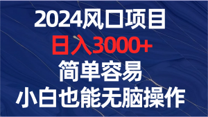 2024蓝海项目,日赚3000 ,简单方便,新手也可以没脑子实际操作-创业资源网