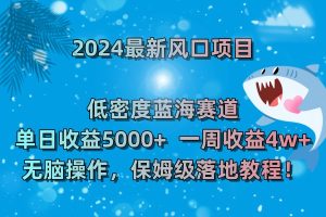 2024全新蓝海项目 高密度瀚海跑道,日盈利5000 周盈利4w 没脑子实际操作,保…-创业资源网