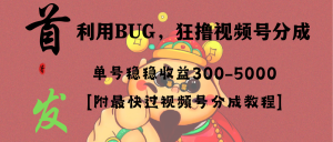 各大网站独家首发,微信视频号BUG,超短期内新项目,运单号每日纯收益300-5000!-创业资源网