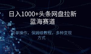 日入1000 头条网盘拉新蓝海跑道,易操作,家庭保姆级实例教程,多种多样变现模式-创业资源网
