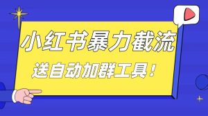 小红书的截留引流方法秘笈,简易没脑子粗鲁,日引20-30个高品质自主创业粉(送全自动加…-创业资源网