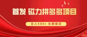 首发 磁力拼多多自撸 日入500+-创业资源网